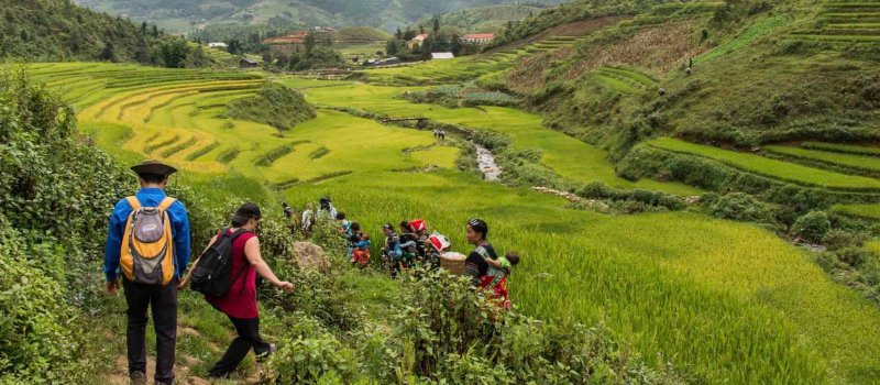 Activités touristiques au Vietnam: Excursions en montagne et randonnées