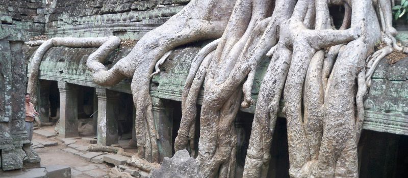 circuit-decouverte-ta-prohm-agence-de-voyage-au-cambodge