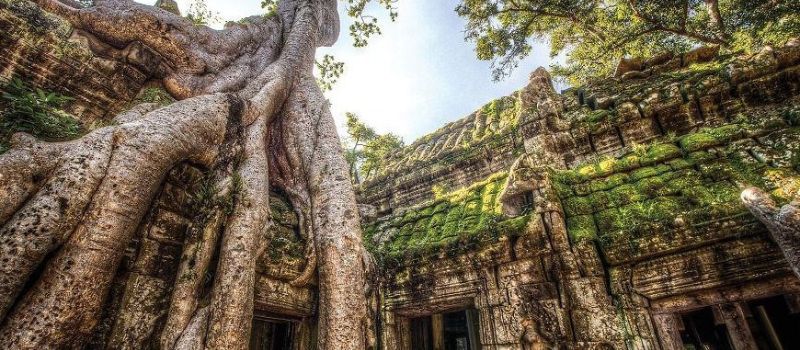 Circuit Découverte Ta Prohm avec notre agence de voyage au Cambodge