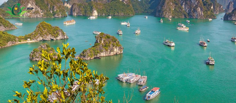 Conseils pour visiter baie Halong avec guide francophone au Vietnam local