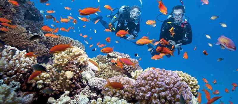 Comment rester calme lors d'une plongée sous-marine?