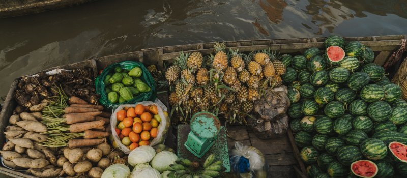 delta-du-mekong-vie-fluviale-et-nature-luxuriante