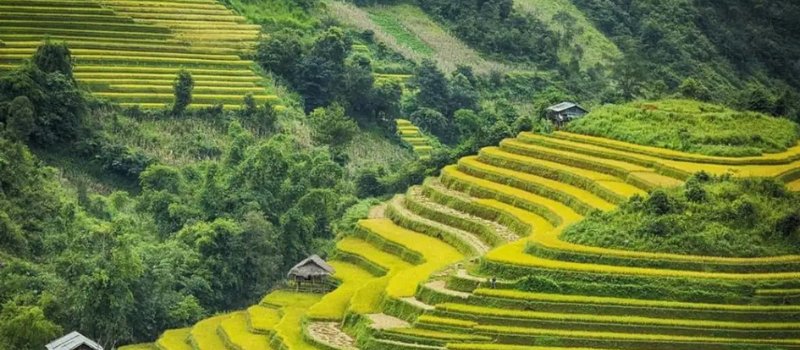 Destinations touristiques au Vietnam du Nord à ne pas manquer en 2024