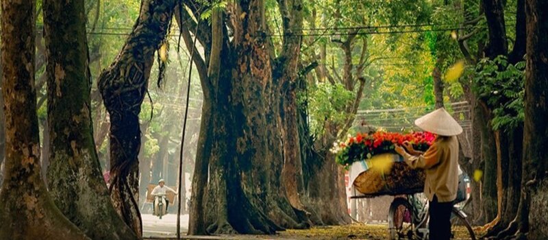 Destinations touristiques incontournables au Vietnam en automne