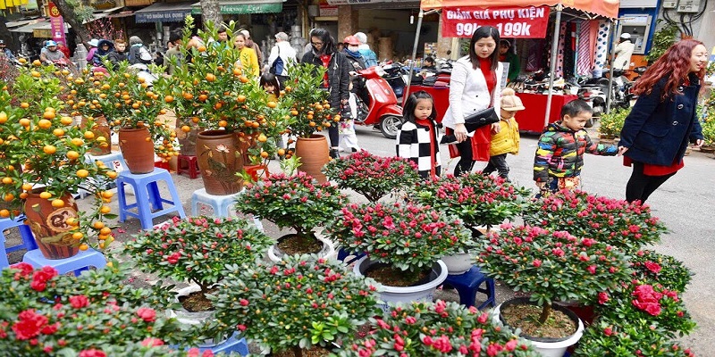 marche-aux-fleurs-de-hang-luoc