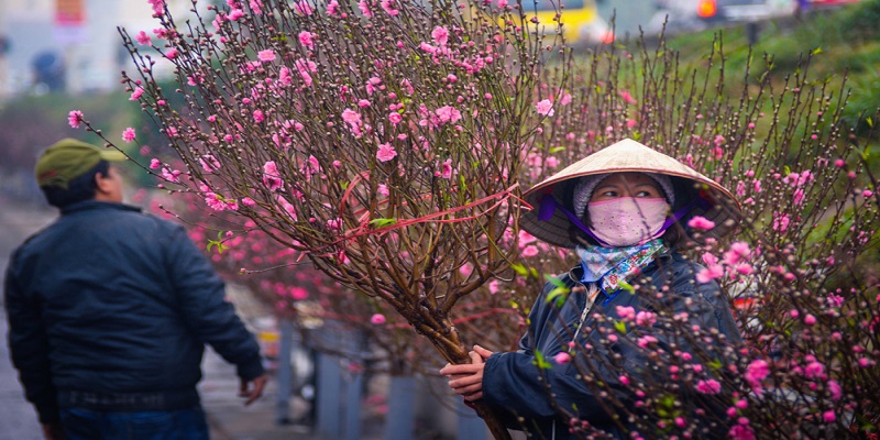 marche-aux-fleurs-de-pecher-de-lac-long-quan