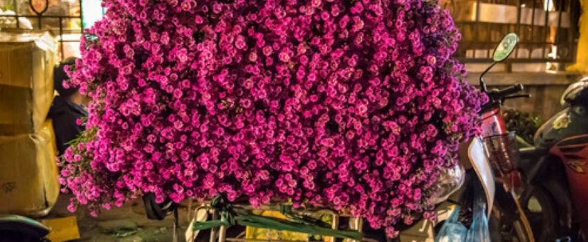 marches-aux-fleurs-du-printemps-vietnam
