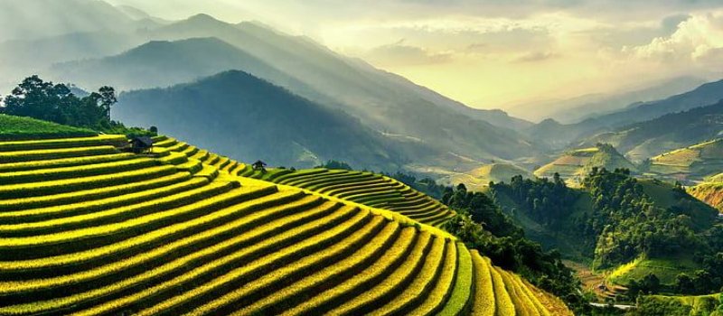 rizieres-en-terrasse-mu-cang-chai