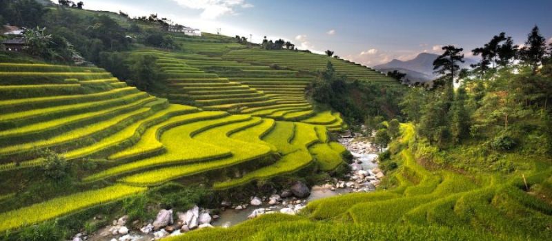 sejour-famille-vietnam-nature-abondante-du-vietnam