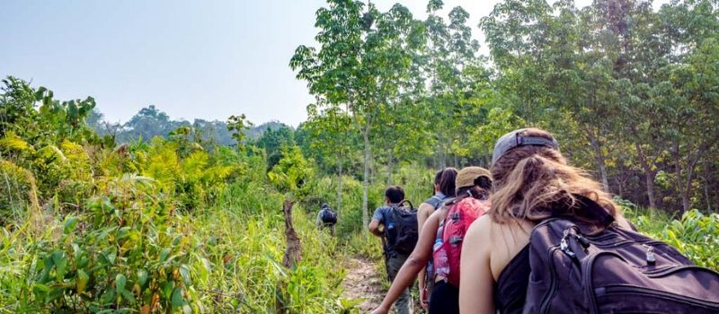 réserve naturelle de Nam Ha Luang Namtha