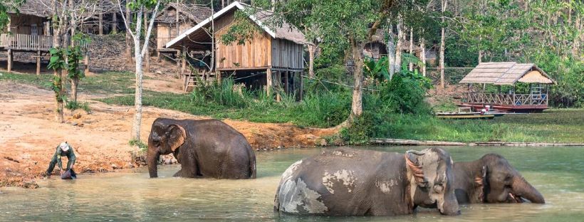 Top meilleures choses à faire pour voyage au Laos Agence voyage locale