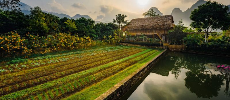 vallee-mai-chau-vietnam