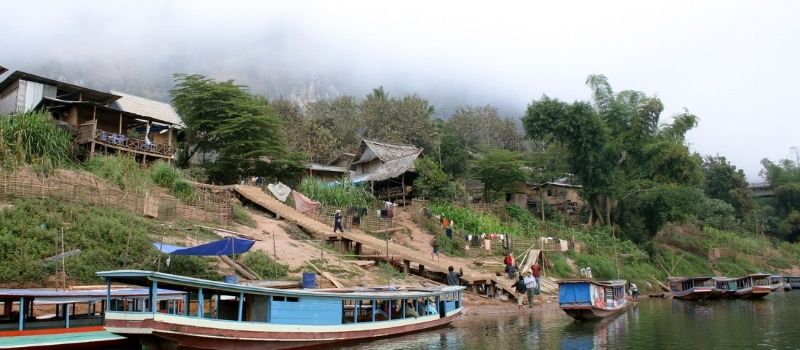 Piège à oiseaux : Insolite : Muang Sing : Nord-Ouest : Laos 