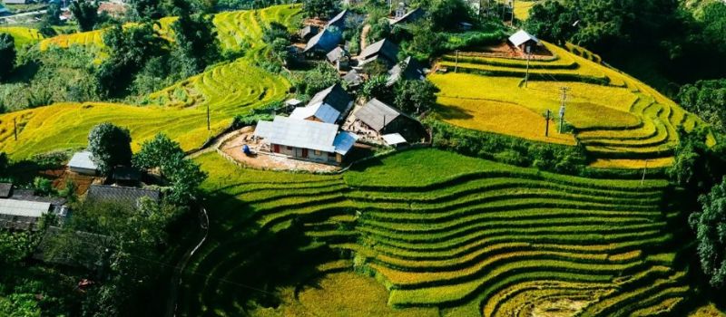 Voyager avec un Guide francophone au Vietnam pour visiter village Ta Phin