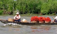 Croisière delta du Mékong en sampan Mekong Eyes 3 jours 2 nuits