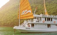 Croisiere en baie Halong sur jonque Paradise Privilège 3 cabines 3 jours 2 nuits