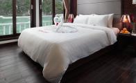 Croisiere en baie Halong sur jonque Stellar Halong 3 jours 2 nuits