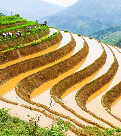Circuit voyage Sapa