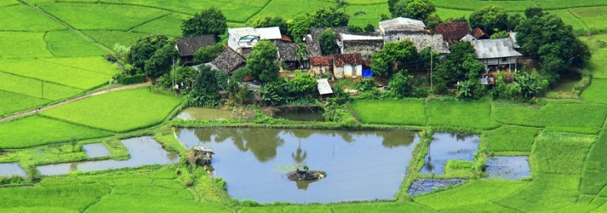 Hoa Binh