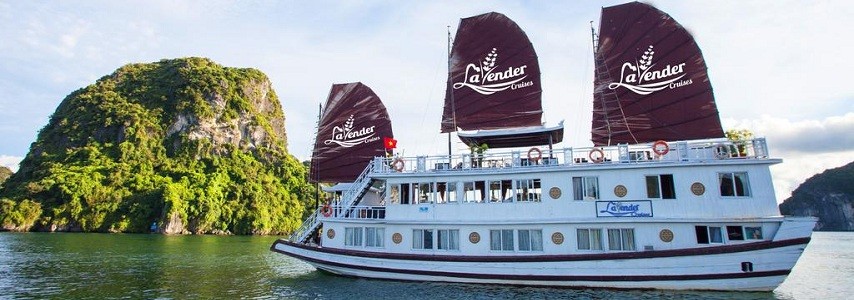 Jonque Lavender Halong