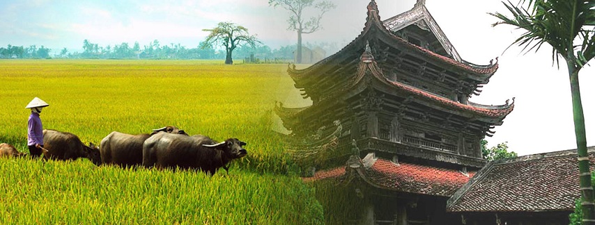 Thai Binh