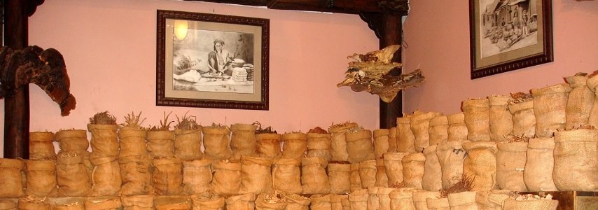 Le musée Fito Ho Chi Minh ville