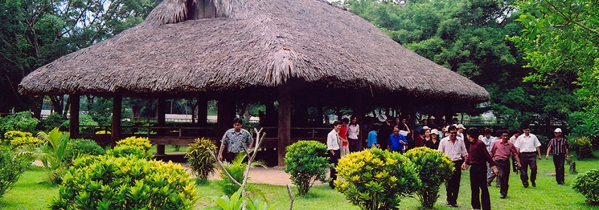 Maison communale de Tan Trao