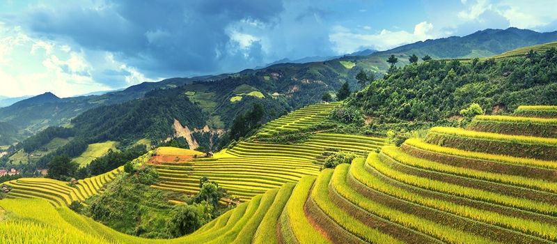 Meilleure période pour voyager à Sapa Vietnam