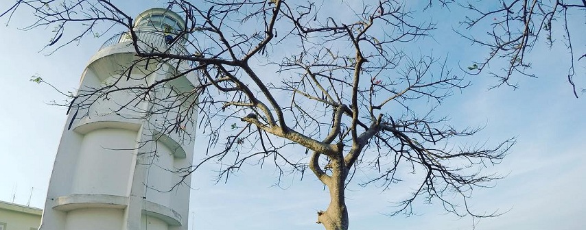 Phare de Vung Tau