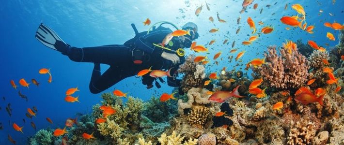 Plongée sous-marine dans les environs de Nha Trang