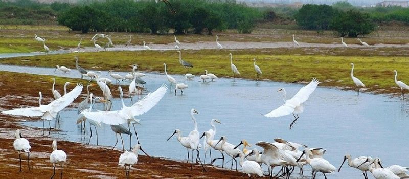 Parc national Xuân Thuy