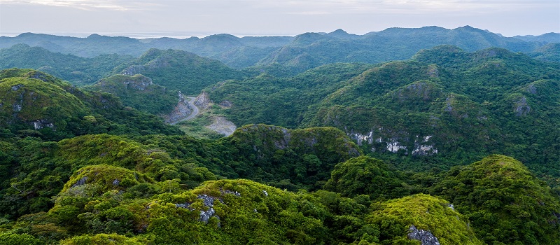 Visite le parc national de Cat Ba