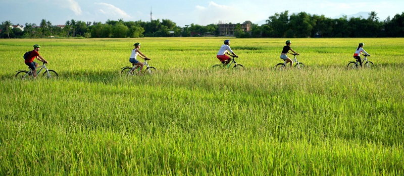Balade à vélo à Hoi An
