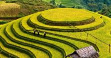 4 choses que vous allez adorer à propos de Mu Cang Chai | Voyage au Vietnam