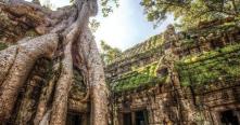 Circuit Découverte Ta Prohm avec notre agence de voyage au Cambodge