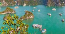 Conseils pour visiter baie Halong avec guide francophone au Vietnam local
