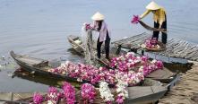 Croisiere au delta du Mekong pour découvrir les marchés flottants
