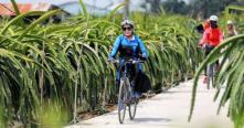 Croisiere au delta du Mekong pour visiter les villages traditionnels à vélo