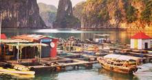 Croisiere en baie Halong pour visiter le village flottant de Cong Dam