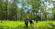 Exploration des parcs nationaux et réserves naturelles au Cambodge