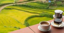 Le café vietnamien, une partie de la vie quotidienne de Viets