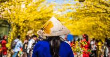 Où partir au Vietnam au printemps? | Voyage sur mesure au Vietnam