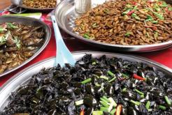 Plats à base d’insectes Cambodge: Que manger au Cambodge?