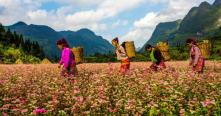 Top 10 des choses à faire à Ha Giang en 2024 | Circuit au Vietnam