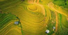 Voyage Mu Cang Chai: Les meilleurs lieux et conseils pour photographier