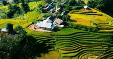 Voyager avec un Guide francophone au Vietnam pour visiter village Ta Phin