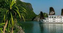 Croisiere en baie Halong sur jonque Bhaya Halong 2 jours 1 nuit