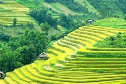 Visite Sapa marché Bac Ha 1 jour