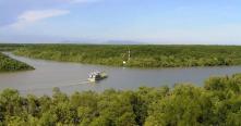 Excursion éco-touristique au cœur de la mangrove de Can Gio