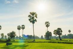 Voyage de golf à Vinh Phuc 3 jours